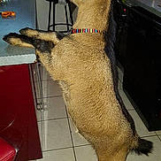 Momo a rejoint le concours — aidez-le/la à gagner de superbes lots !