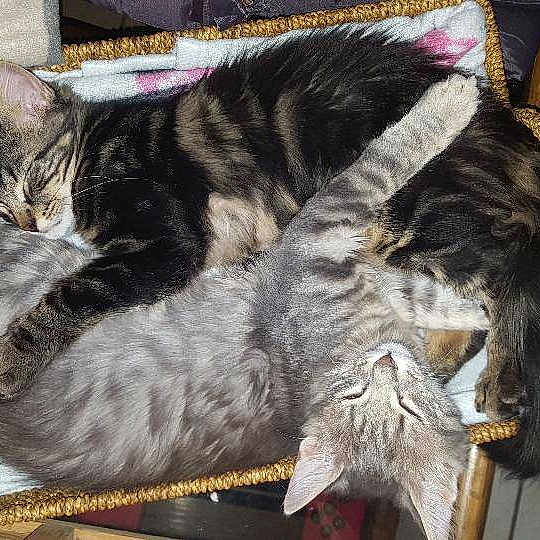 Mosquitoampmojito participe au concours pour gagner de l'argent avec cette photo :