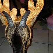 Momo participe au concours pour gagner de l'argent avec cette photo :