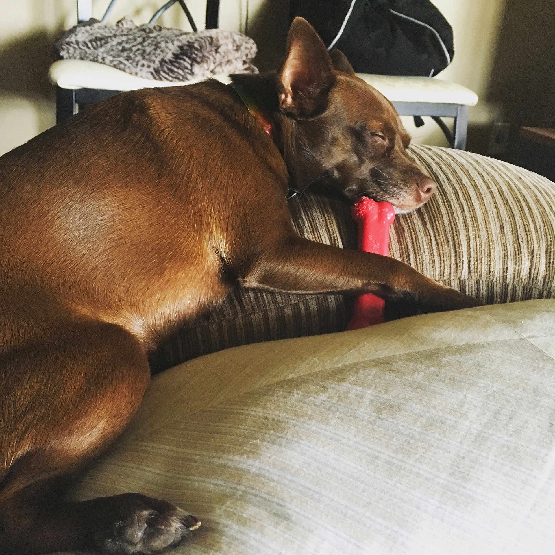 Rosie