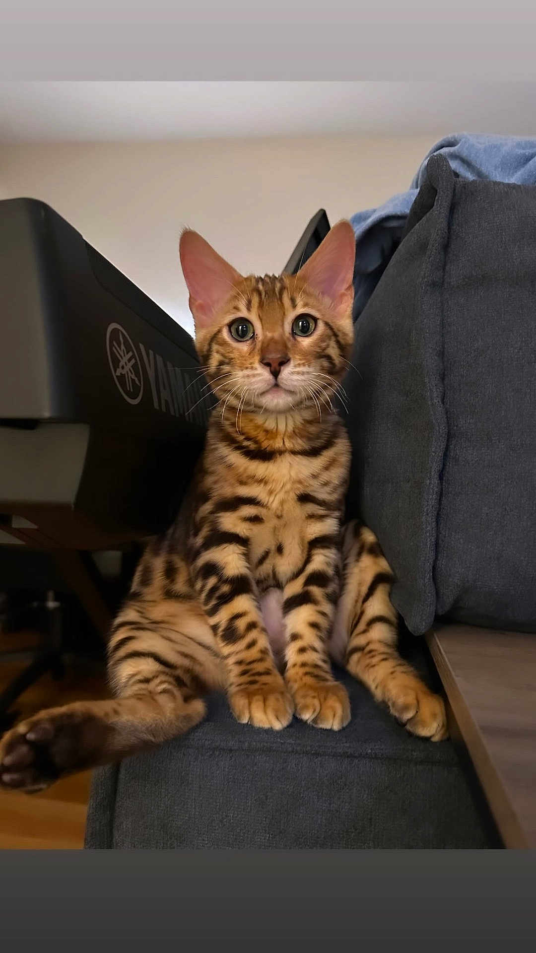 Leo