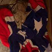 Opiee joined the competition — help win amazing prizes! dog, blanket, sleeping, indoor, cozy, fur, bed, resting, animal, brown, pattern, soft, comfort, domestic_animal, cute, relaxation, pet, warm, quiet, nap