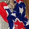 Opiee is registered to the contest to win money with this photo: dog, blanket, red, white, blue, stars, indoor, resting, pet, fur, wooden_floor, comfortable, cozy, animal, collar, fabric, soft, laying, domestic, relaxed