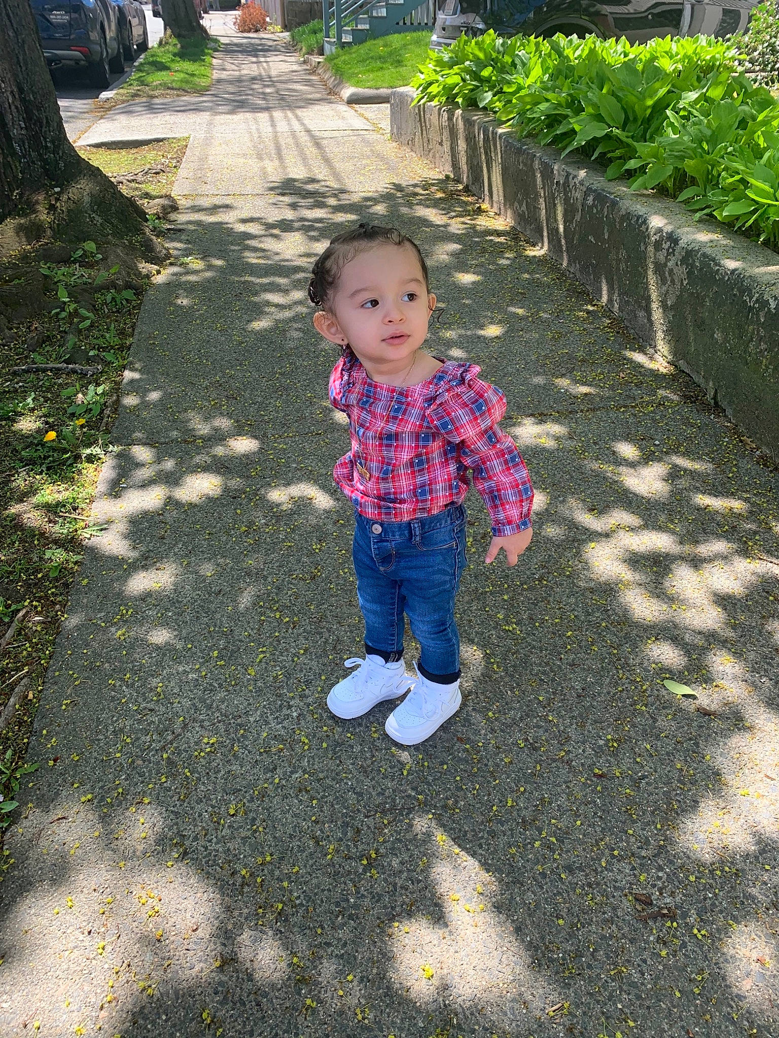 Leela joined the competition — help win amazing prizes! botany, child, garden, grass, leaf, leisure, person, plant, play, shadow, smile, summer, toddler, tree, vacation