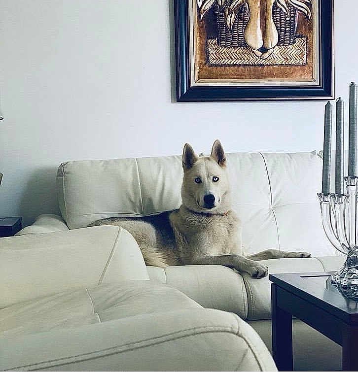 Leo
