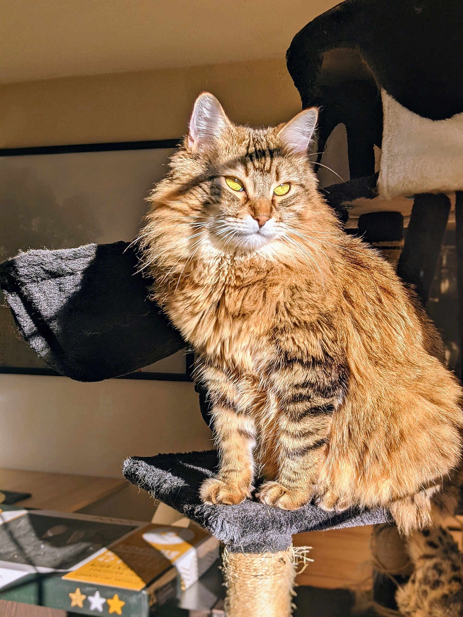 Kira