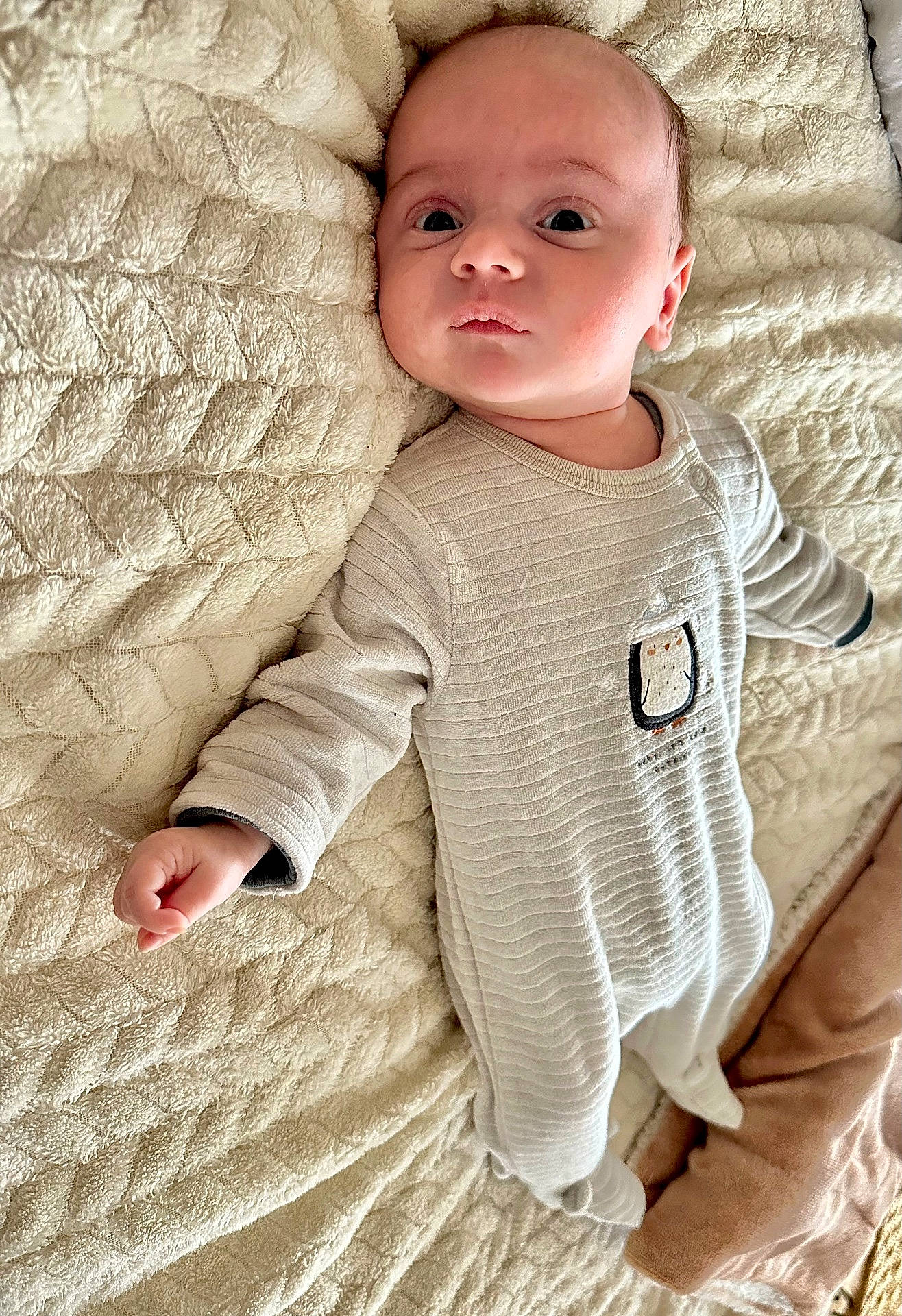 Eden a rejoint le concours — aidez-le/la à gagner de superbes lots ! baby, blanket, bodypart, clothing, cushion, face, finger, hand, head, homedecor, infantbed, knitwear, longsleeve, newborn, person, photography, portrait, quilt, sleeve, sweater