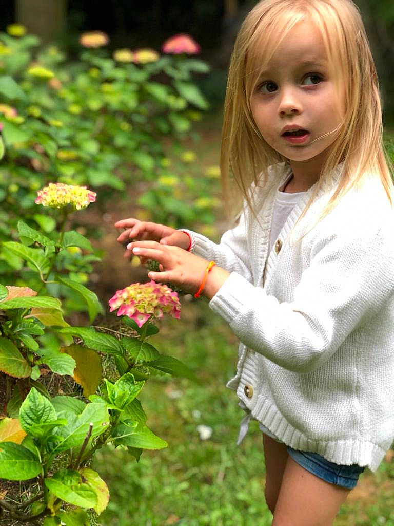 Pacific a rejoint le concours — aidez-le/la à gagner de superbes lots ! annual_plant, blond, botany, fawn, floribunda, flower, garden_roses, grass, groundcover, hair, head, hybrid_tea_rose, people_in_nature, person, petal, pink, plant, rose, rose_order, sleeve