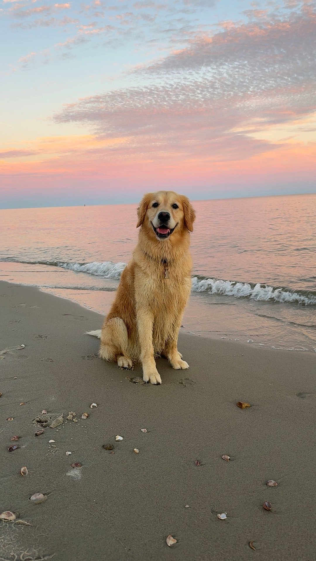 Josie