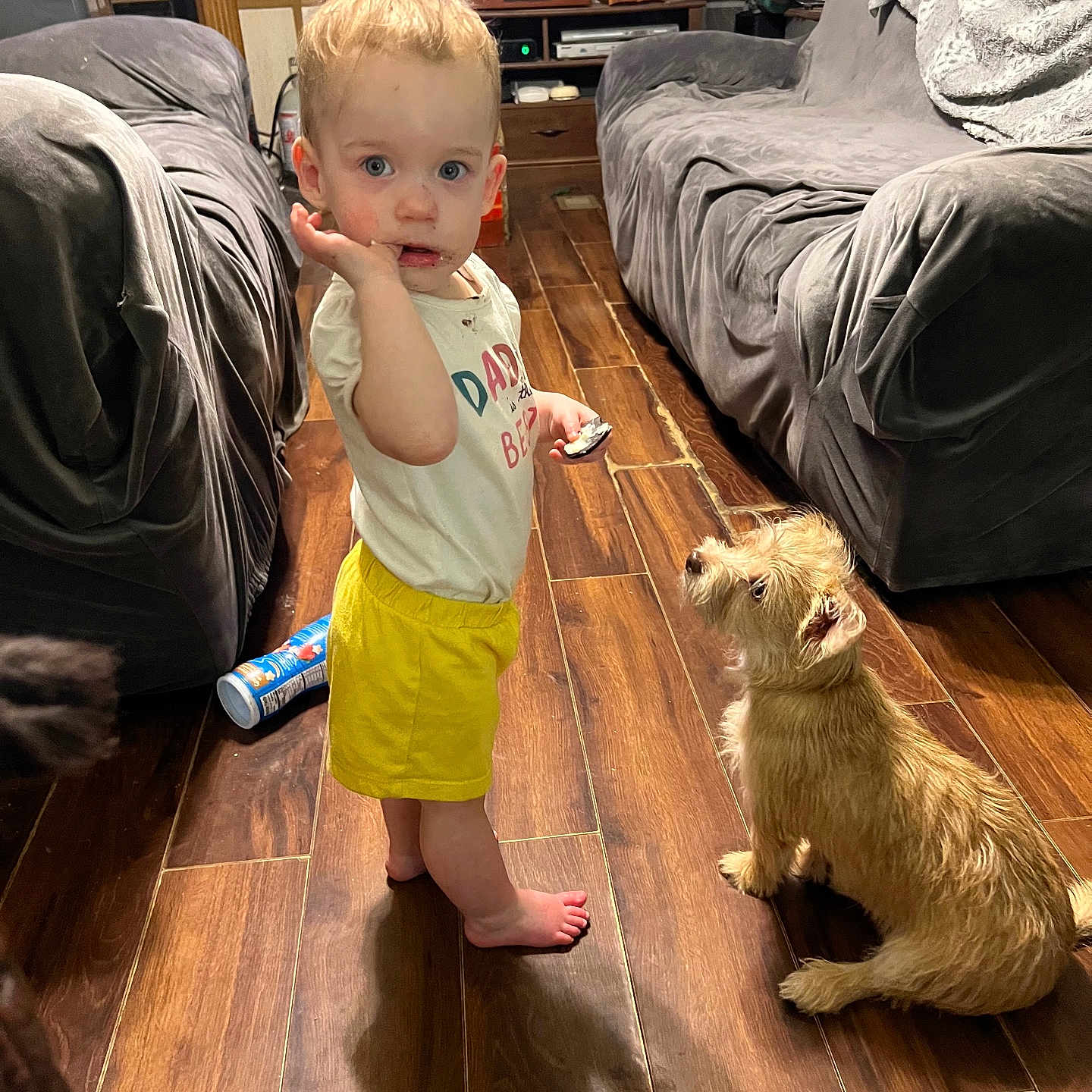 Sadie Ray Harding is registered to the contest to win money with this photo: barefoot, casual, child, curious, dog, fan, flooring, furniture, home, indoor, living_room, messy_face, pet, small_dog, snack, sofa, toddler, white_shirt, wooden_floor, yellow_shorts