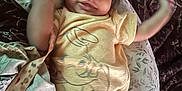Malcolm Jr is registered to the contest to win money with this photo: baby, child, infant, yellow_onesie, elephant_design, cushion, patterned_blanket, smiling, happy, lying_down, indoor, face, arms_up, curly_hair, cute, soft_lighting, fabric, comfort, playful, portrait