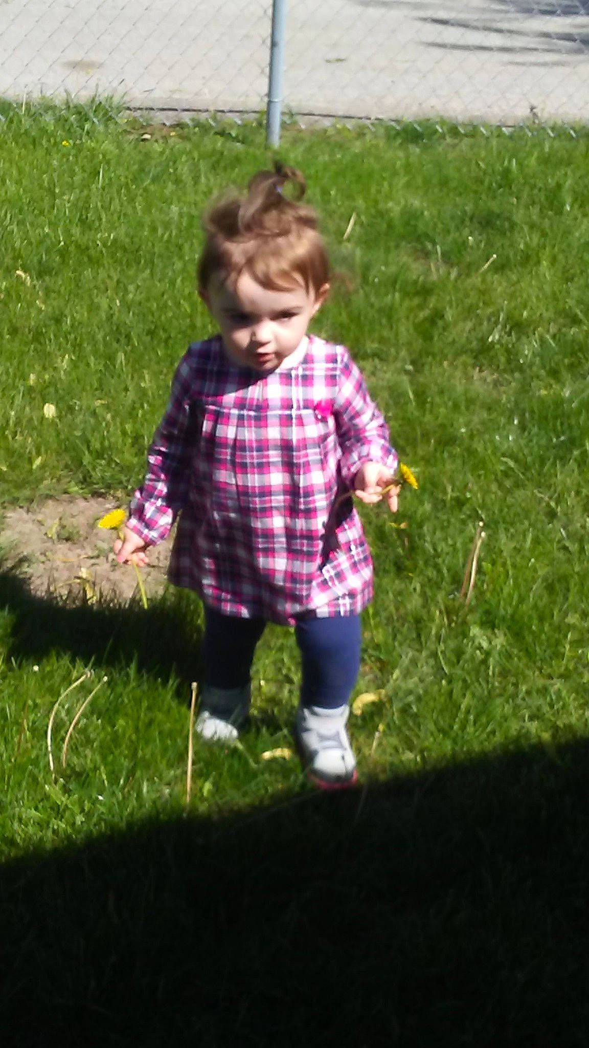 Abbigael is registered to the contest to win money with this photo: child, design, garden, grass, grass_family, lawn, meadow, pattern, person, plaid, plant, play, toddler, walking, yard