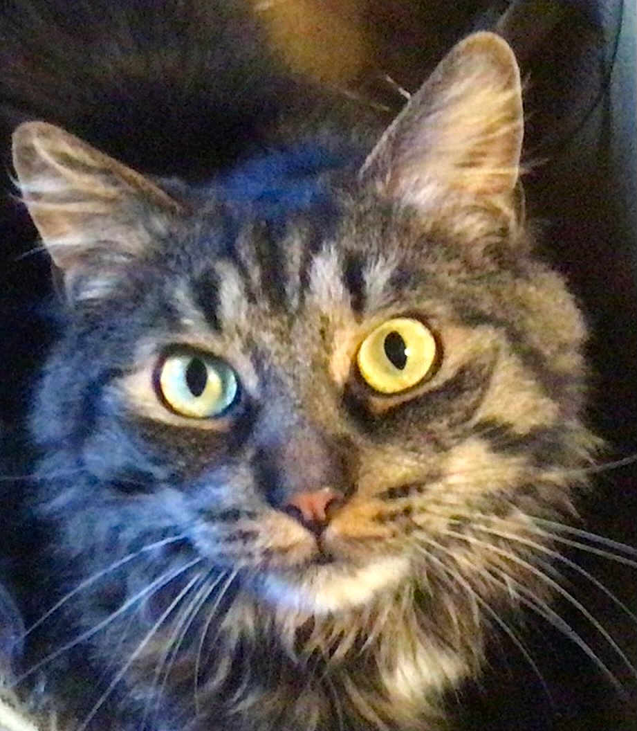 J.j.