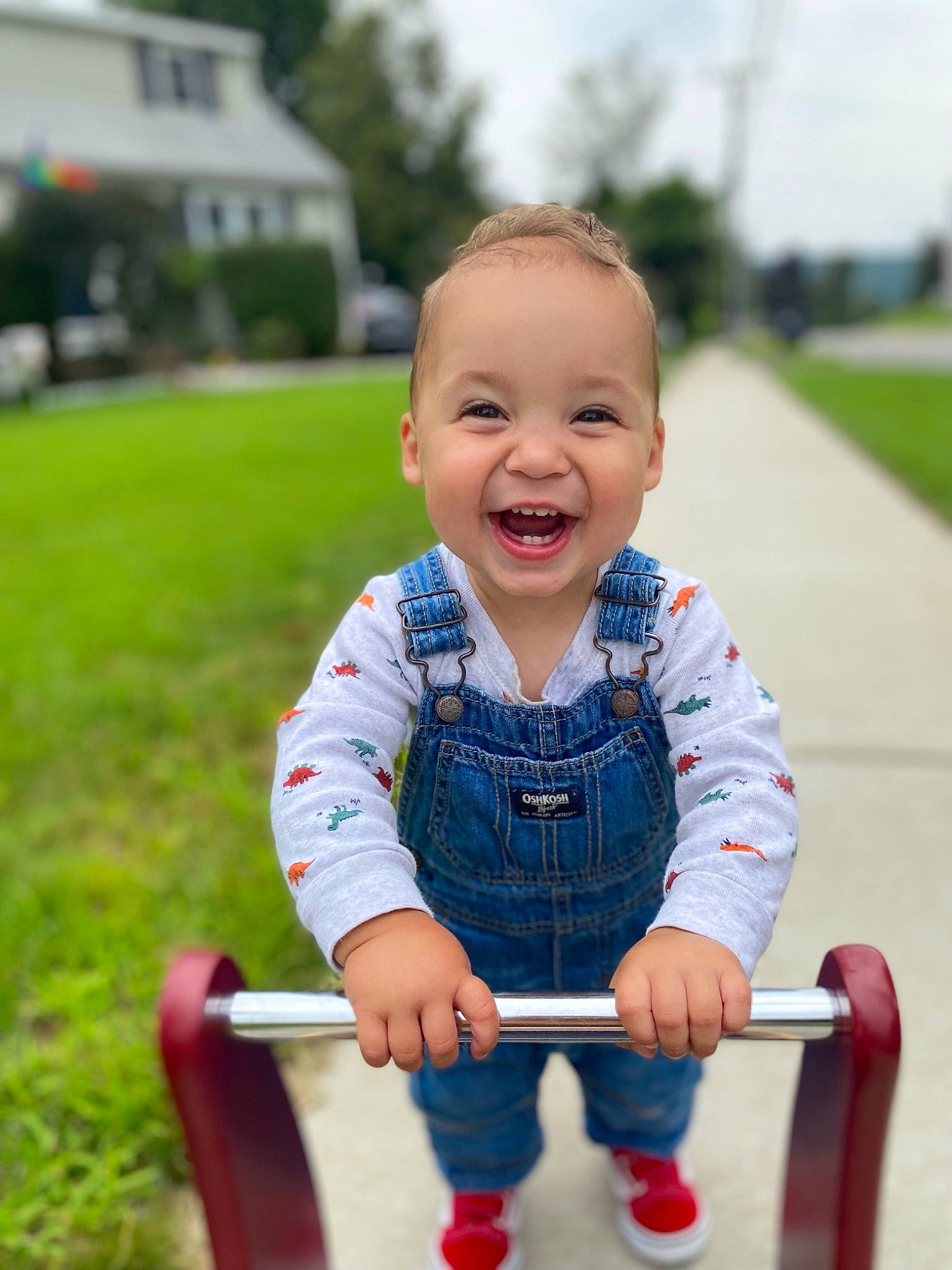Noah is registered to the contest to win money with this photo: baby, baby_playing_with_toys, baby_toddler_clothing, beauty, child, eye, facial_expression, fun, grass, happy, joy, leisure, people_in_nature, person, skin, sky, sleeve, smile, standing, swing