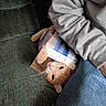 animal, cardboard_box, cat, couch, cushion, ears, eyes, feline, funny, home, indoor, jeans, lying_down, orange_cat, person, pet, relaxed, sweatshirt, upside_down, whiskers