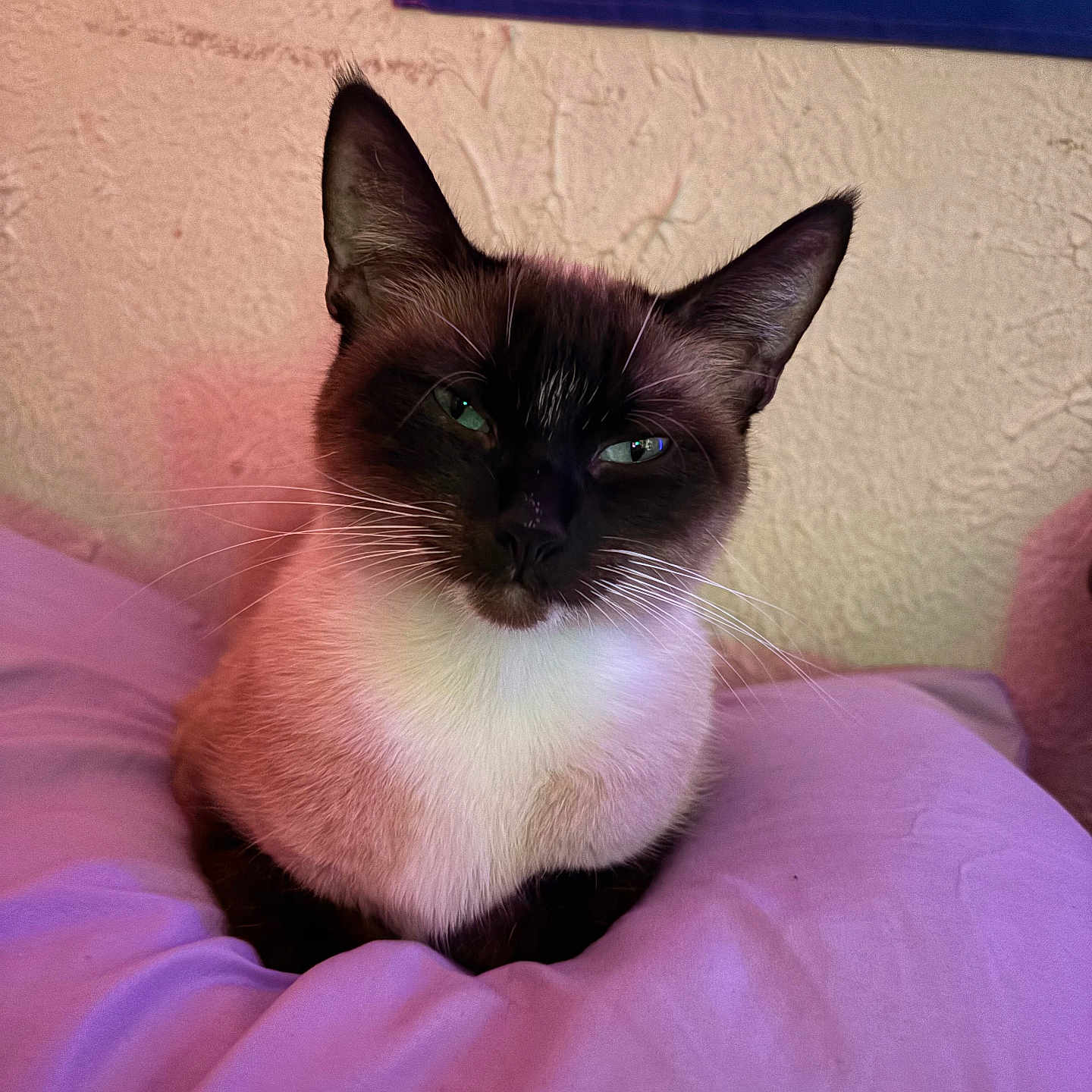 Stormi