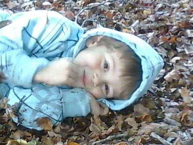 Erwann participe au concours pour gagner de l'argent avec cette photo : adaptation, baby, baby_toddler_clothing, beauty, cheek, child, comfort, grass, iris, leaf, people_in_nature, person, plant, portrait_photography, sitting, soil, toddler, tree, winter, wood