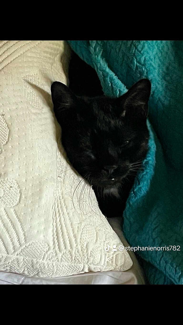 Salem