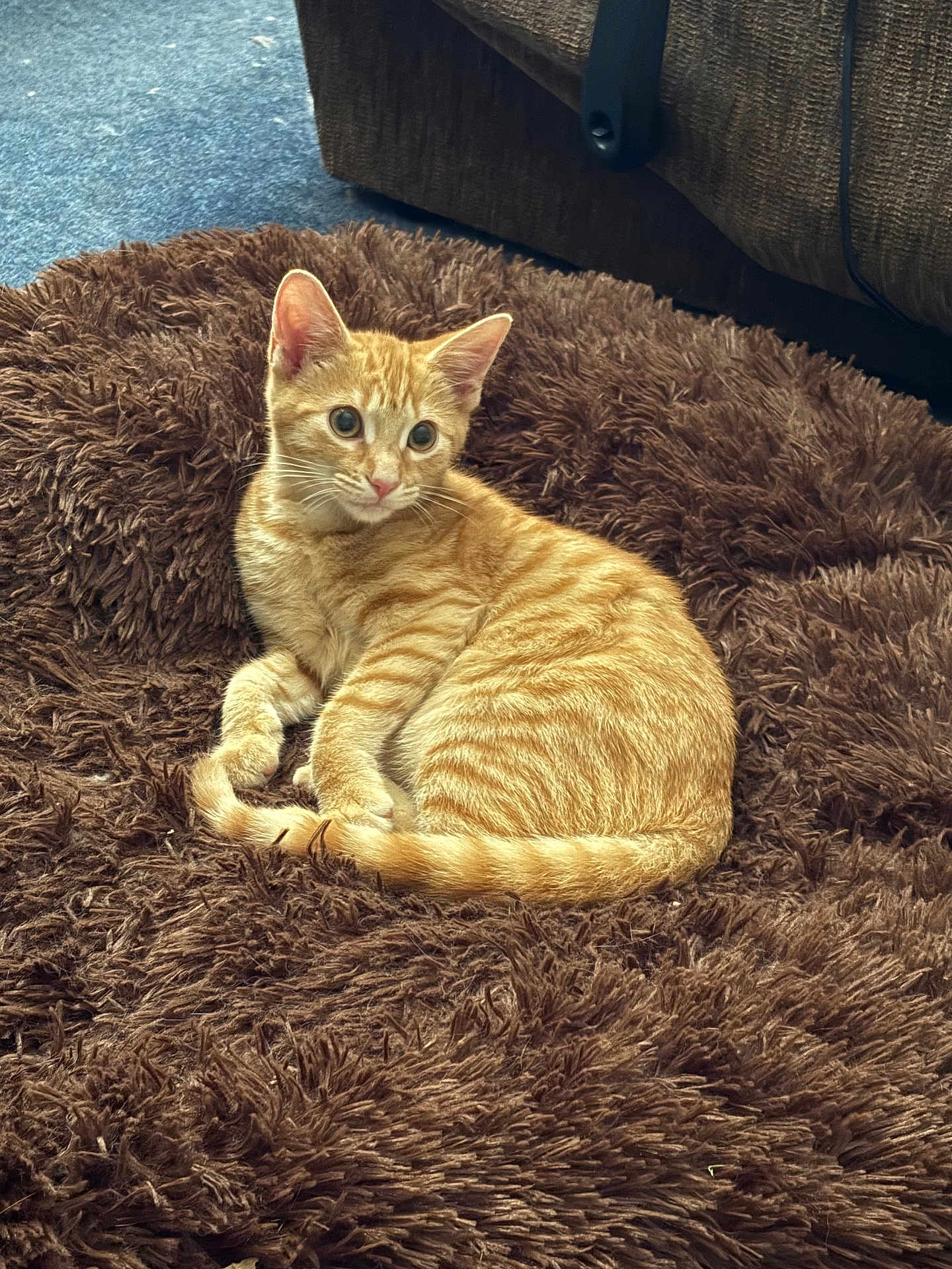 Oliver