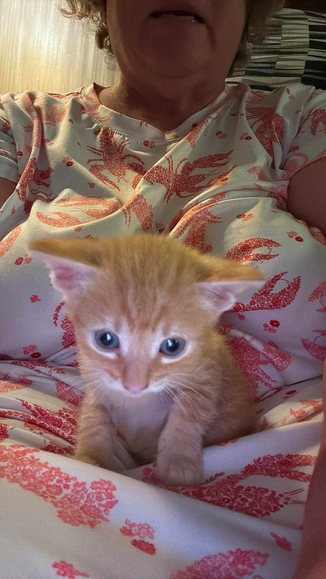Oliver