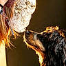 dog, bubbles, person, heart_emoji, curious, golden_light, indoor, long_hair, black_background, close_up, playful, pet, animal, face_obscured, bubble_cluster, hand, warm_light, candid, interaction, portrait
