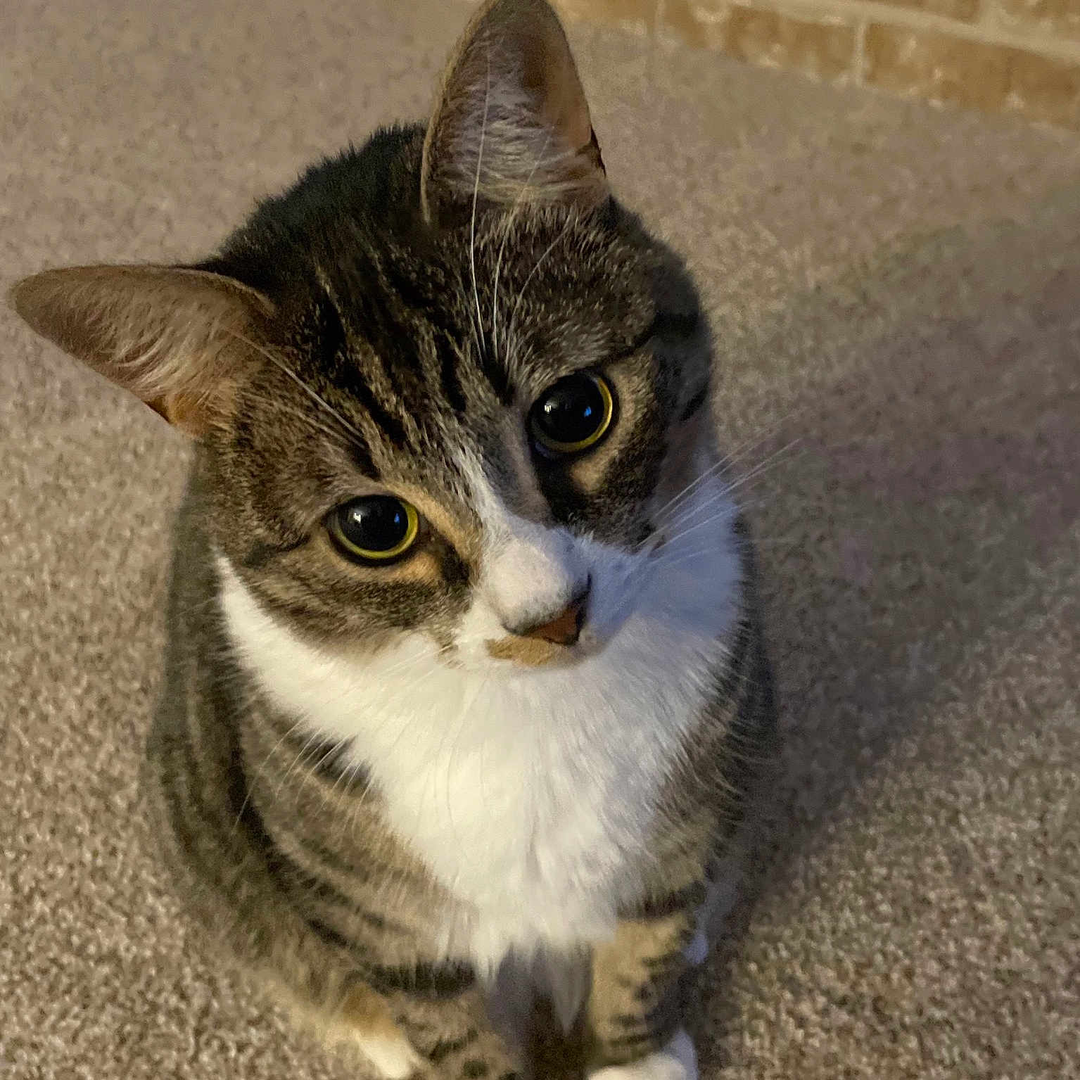 Bowie