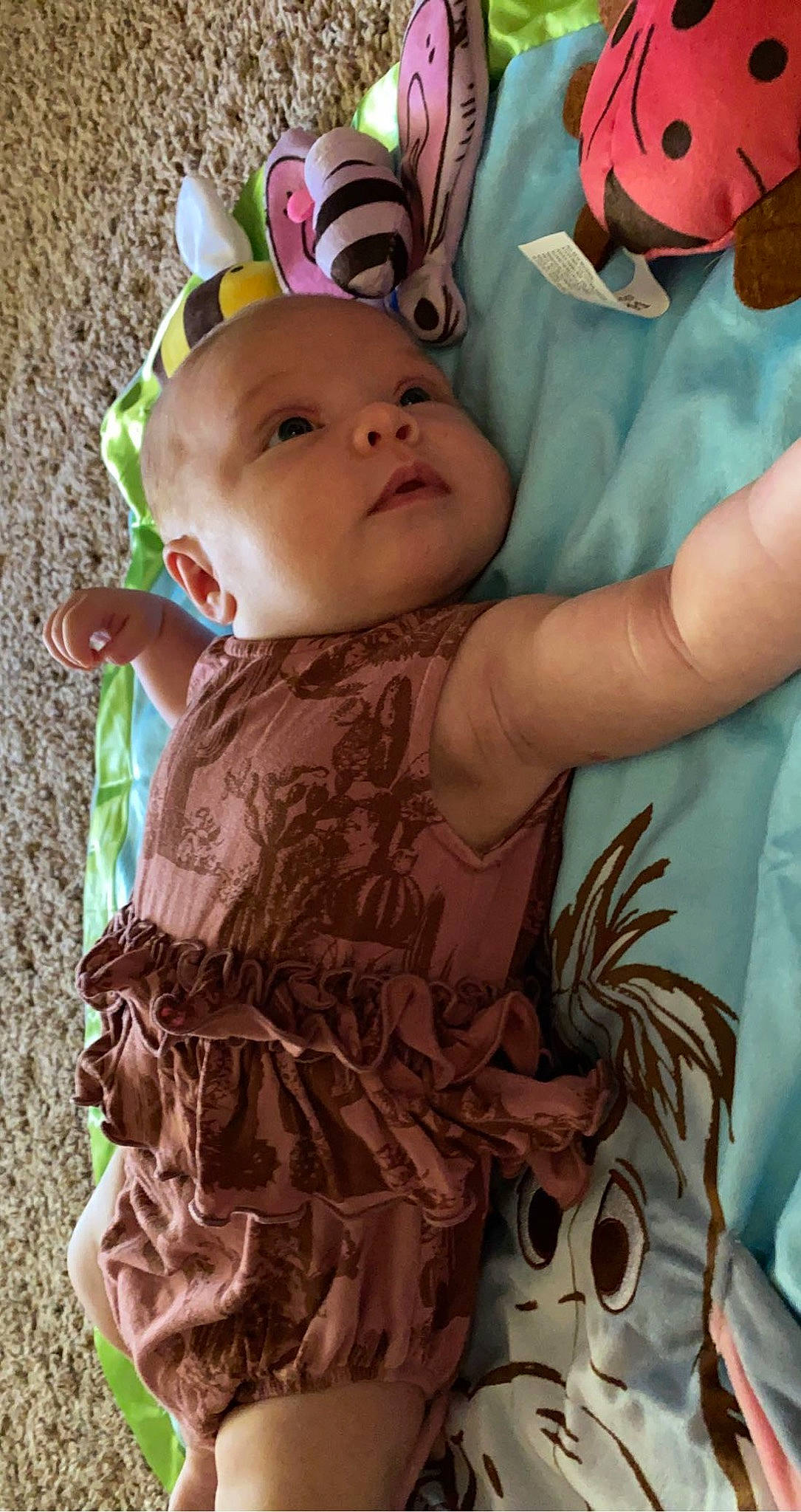 Timber joined the competition — help win amazing prizes! abdomen, baby, baby_toddler_clothing, chest, child, dress, event, eye, fashion_accessory, happy, headgear, headpiece, human_body, iris, pattern, person, pink, skin, textile, toddler