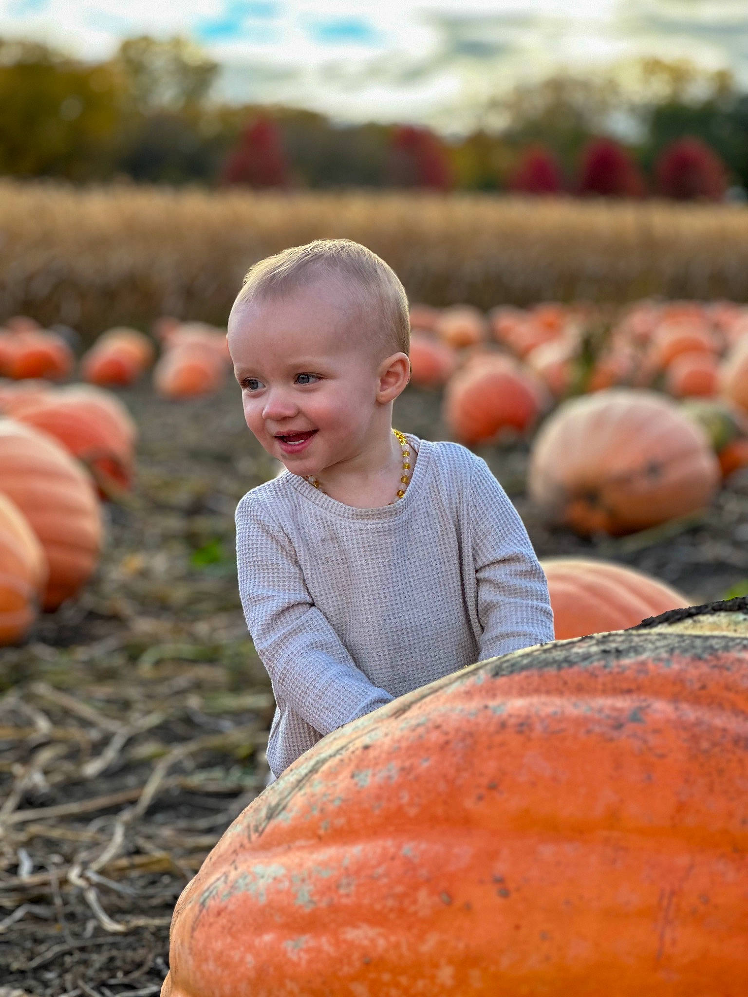 Elaina is registered to the contest to win money with this photo: calabaza, cucurbita, face, facial_expression, fruit, gourd, grass, happy, joy, leaf, morning, natural_foods, orange, people_in_nature, person, plant, pumpkin, sky, smile, squash