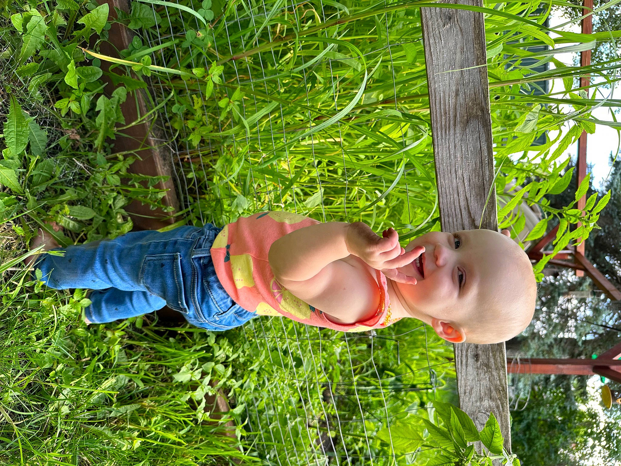 Elaina is registered to the contest to win money with this photo: baby, baby_toddler_clothing, chest, child, elbow, fun, grass, grass_family, groundcover, happy, hat, joy, leisure, people_in_nature, person, plant, smile, terrestrial_plant, thigh, toddler