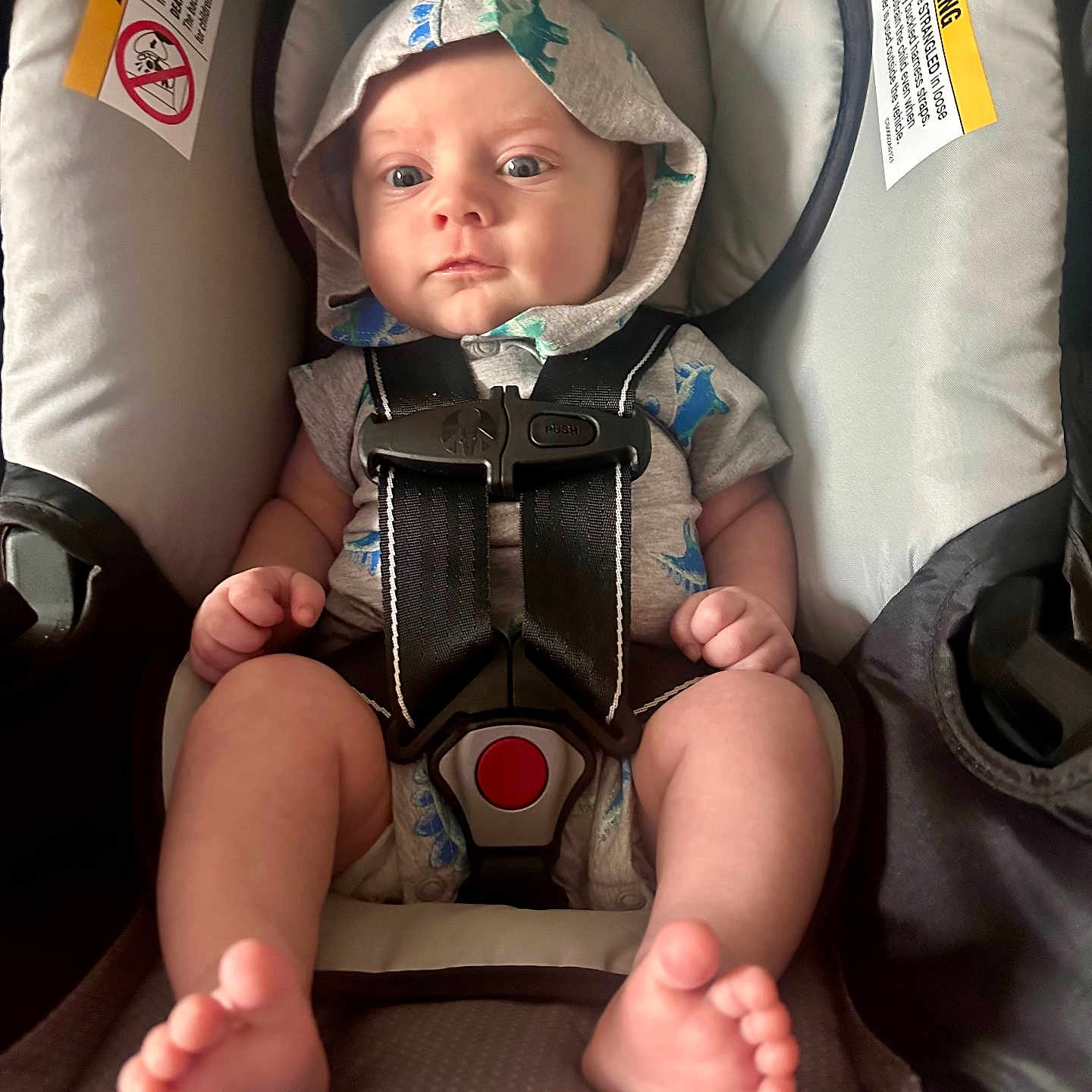 Waylon joined the competition — help win amazing prizes! accessories, baby, bed, bodypart, bonnet, car, clothing, cushion, face, finger, furniture, hand, hat, head, homedecor, person, photography, portrait, transportation, vehicle