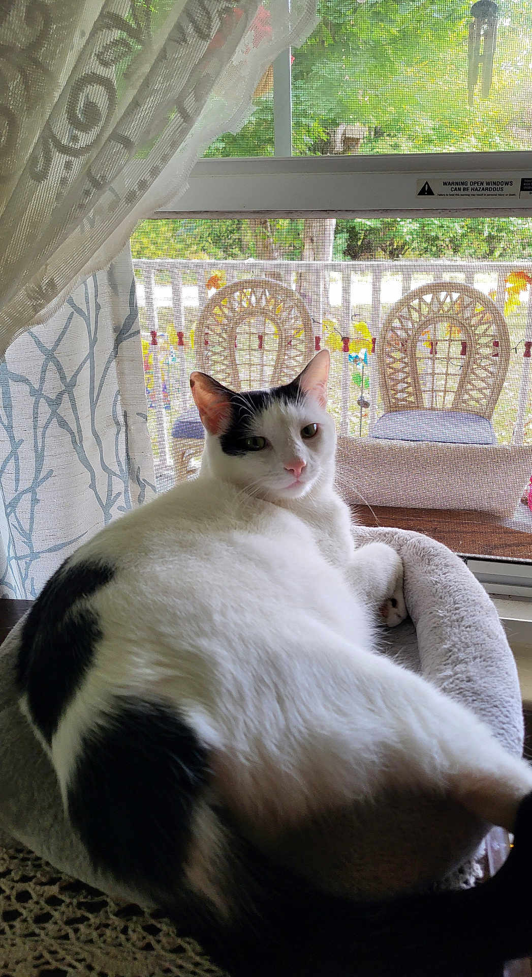 Oscar