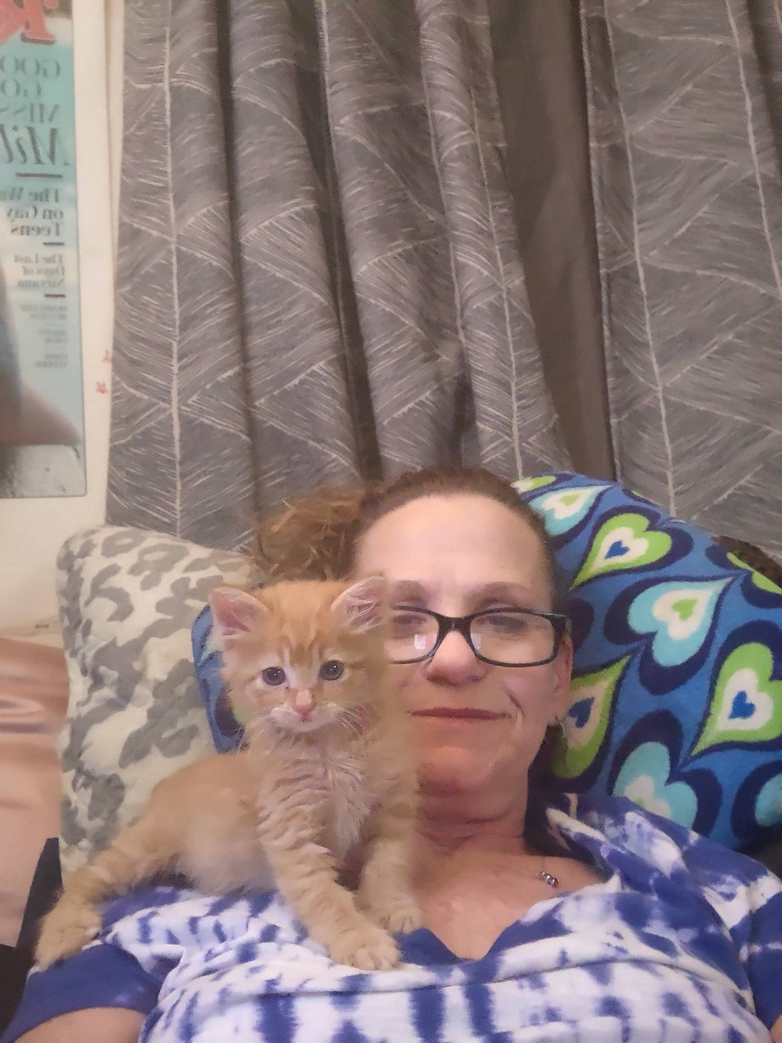 Ziggy is registered to the contest to win money with this photo: carnivore, cat, comfort, couch, domestic_short_haired_cat, eyewear, fawn, felidae, fun, fur, glasses, lap, linens, pattern, room, sitting, small_to_medium_sized_cats, textile, vacation, whiskers