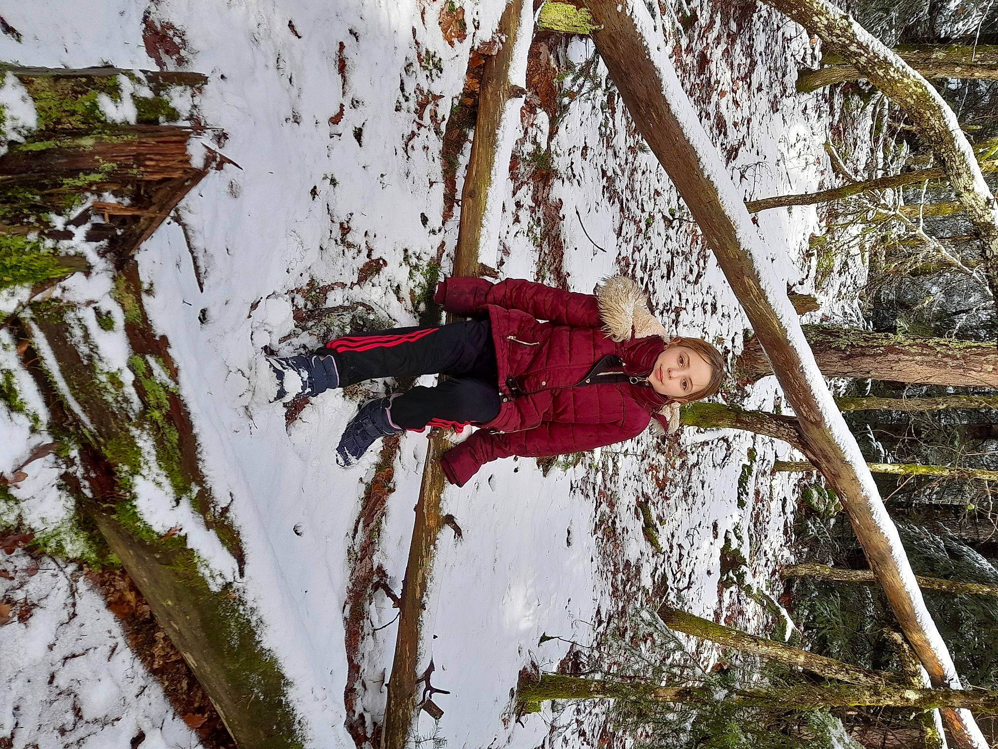 Romane a rejoint le concours — aidez-le/la à gagner de superbes lots ! adventure, branch, climbing_harness, forest, freezing, fun, leisure, outdoor_shoe, people_in_nature, person, plant, recreation, rock_climbing_equipment, rope, slope, snow, sports_equipment, tree, twig, winter