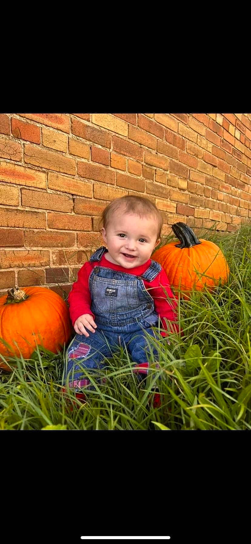 Owen joined the competition — help win amazing prizes! arm, calabaza, clothing, cucurbita, flash_photography, grass, happy, head, human_body, joy, leaf, nature, orange, people_in_nature, person, plant, pumpkin, smile, squash, standing
