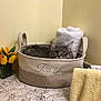 animal, basket, bathroom, cat, cozy, curious, cute, fabric_basket, feline, flower_vase, gray_cat, home_decor, indoor, marble_countertop, pet, resting, rolled_towel, still_life, towel, yellow_tulips