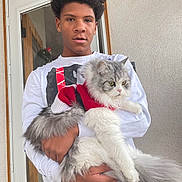 Sushi joined the competition — help win amazing prizes! person, cat, pet, fluffy_cat, red_sweater, holding, indoor, door, window, young_adult, casual_clothing, brown_skin, curly_hair, white_shirt, fur, tail, portrait, home, neutral_wall, hands