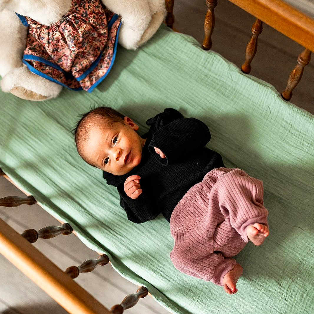 Ivy joined the competition — help win amazing prizes! animal, baby, bed, blanket, cat, cradle, crib, cushion, face, furniture, head, homedecor, infantbed, person, pet