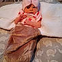 baby, infant, pink_hat, bow, blanket, bear_pattern, cushion, elephant_pattern, laundry_basket, clothing, cute, soft_texture, lying_down, indoors, face, newborn, wrapped, cozy, looking, person