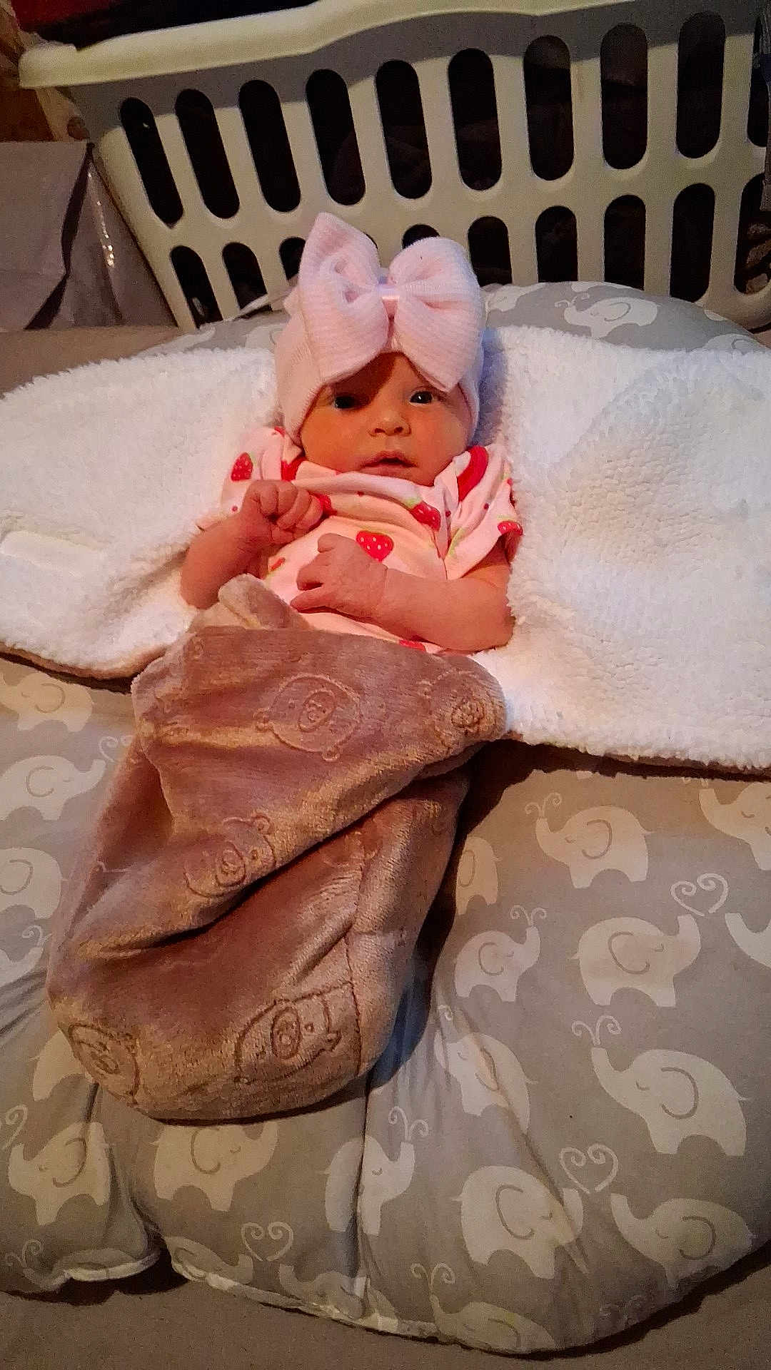 Naomi is registered to the contest to win money with this photo: baby, infant, pink_hat, bow, blanket, bear_pattern, cushion, elephant_pattern, laundry_basket, clothing, cute, soft_texture, lying_down, indoors, face, newborn, wrapped, cozy, looking, person