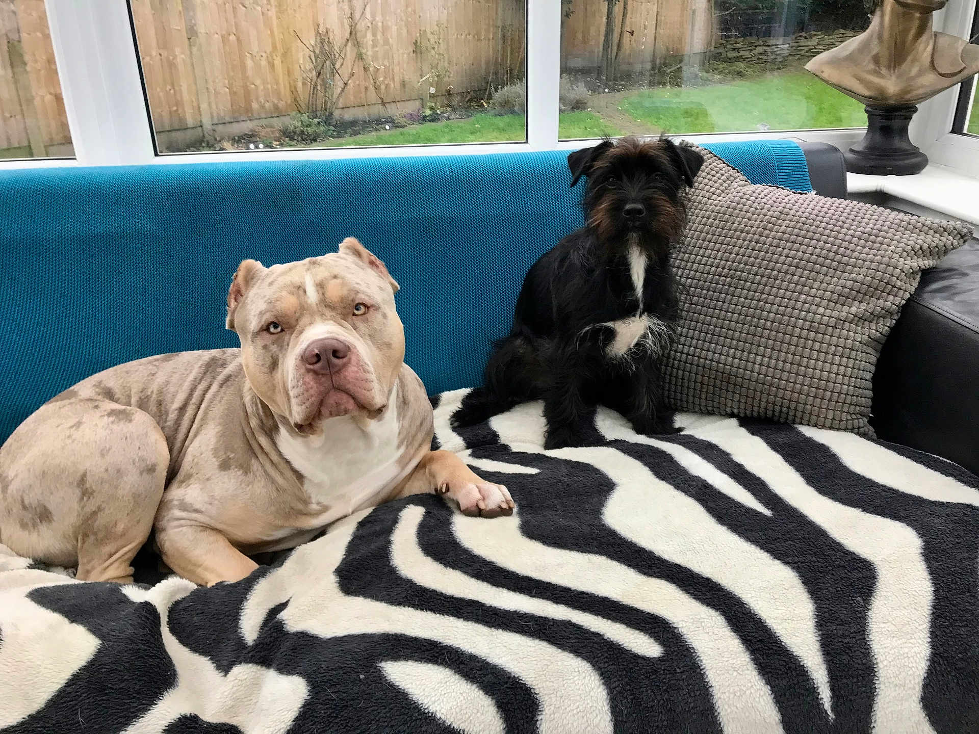 P And D