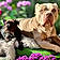 Diesel And Prince