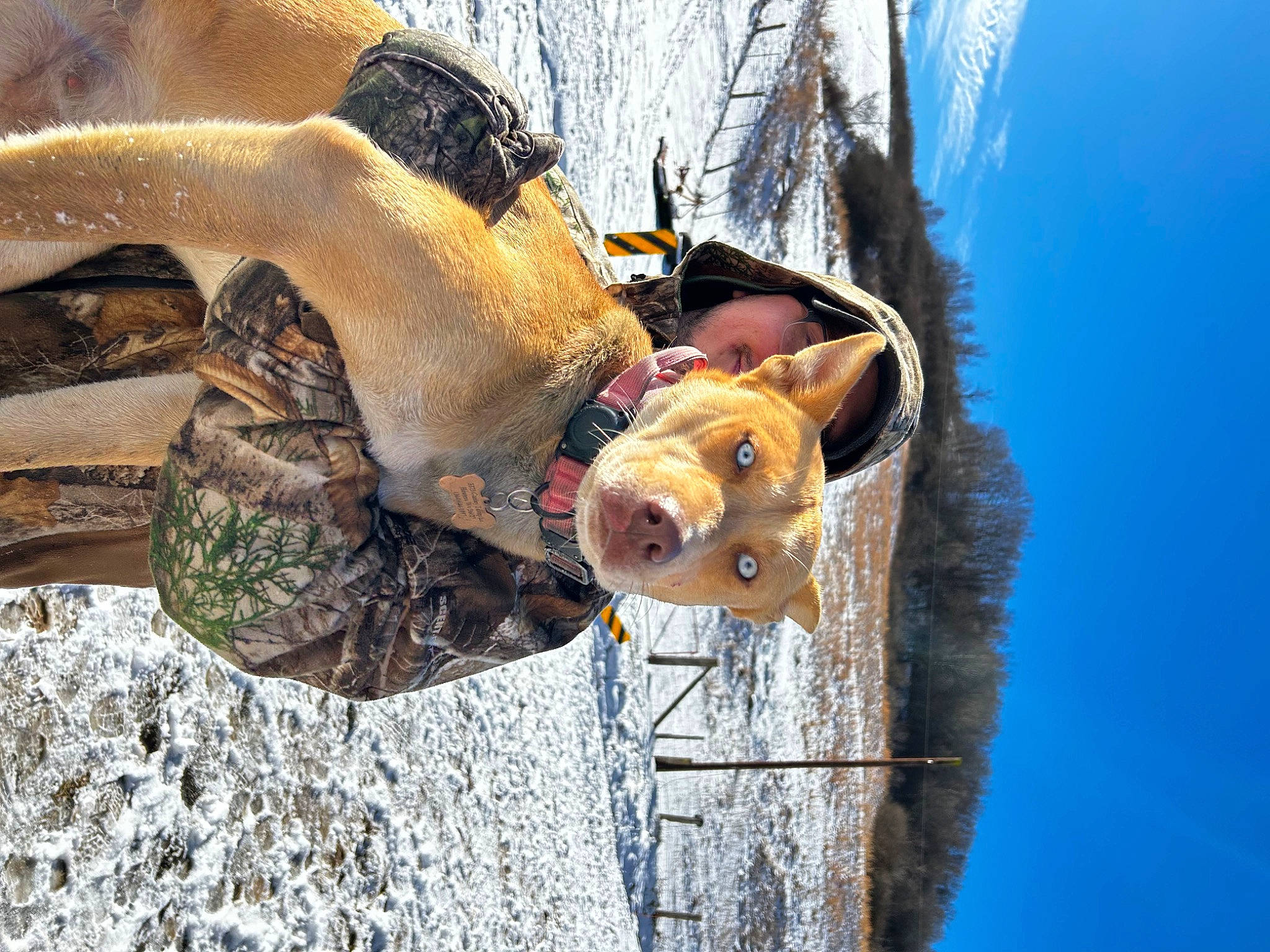 Harley joined the competition — help win amazing prizes! adventure, eyewear, fawn, fish, freezing, fun, helmet, landscape, leisure, personal_protective_equipment, plant, playing_in_the_snow, recreation, sky, snout, sunglasses, tree, trunk, winter, wood