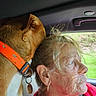 dog, elderly_woman, car_interior, orange_collar, side_profile, seatbelt, window, natural_light, pet, human, close_up, affection, companionship, wrinkles, earring, hair, seat, driving, head, side_view