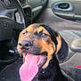 dog, tongue_out, car_interior, happy, pet, animal, seat, window, steering_wheel, dashboard, door, leather_seat, black_and_tan, canine, mouth_open, ears, nose, sitting, sunlight, vehicle