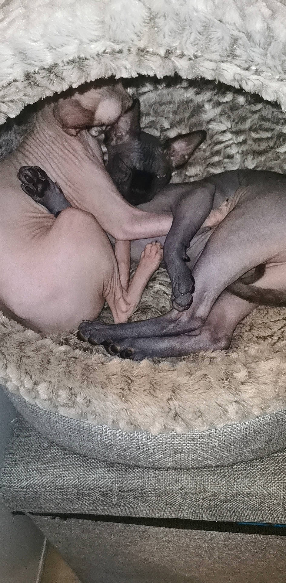 Ragnar participe au concours pour gagner de l'argent avec cette photo : art, automotive_tire, automotive_wheel_system, barechested, barefoot, concrete, eye, flesh, foot, hand, human_leg, landscape, nail, rock, sand, sitting, soil, thigh, toe, tree