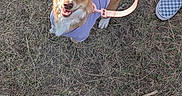 Tilly Mae joined the competition — help win amazing prizes! dog, purple_outfit, leash, grass, happy, looking_up, pet, outdoor, footwear, checkered_shoes, casual, playful, canine, animal, smiling, walking, nature, daylight, tail, ears