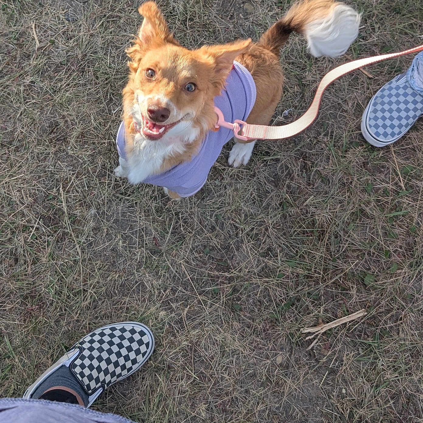 Tilly Mae