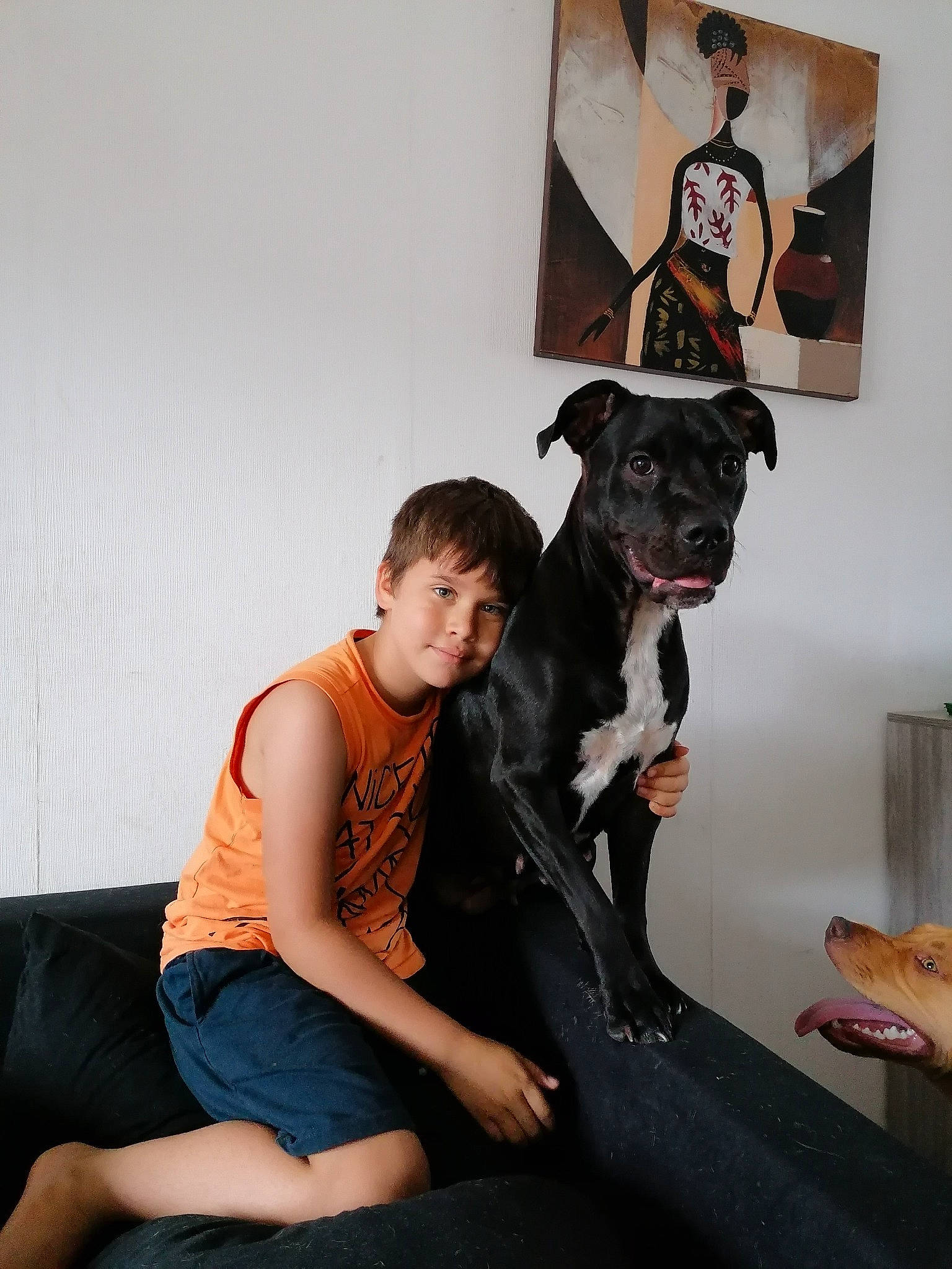 Aedhan participe au concours pour gagner de l'argent avec cette photo : canidae, carnivore, comfort, companion_dog, dog, dog_breed, fashion, fashion_design, fawn, flash_photography, fur, human_leg, knee, person, personal_protective_equipment, shorts, sitting, sporting_group, t_shirt, thigh