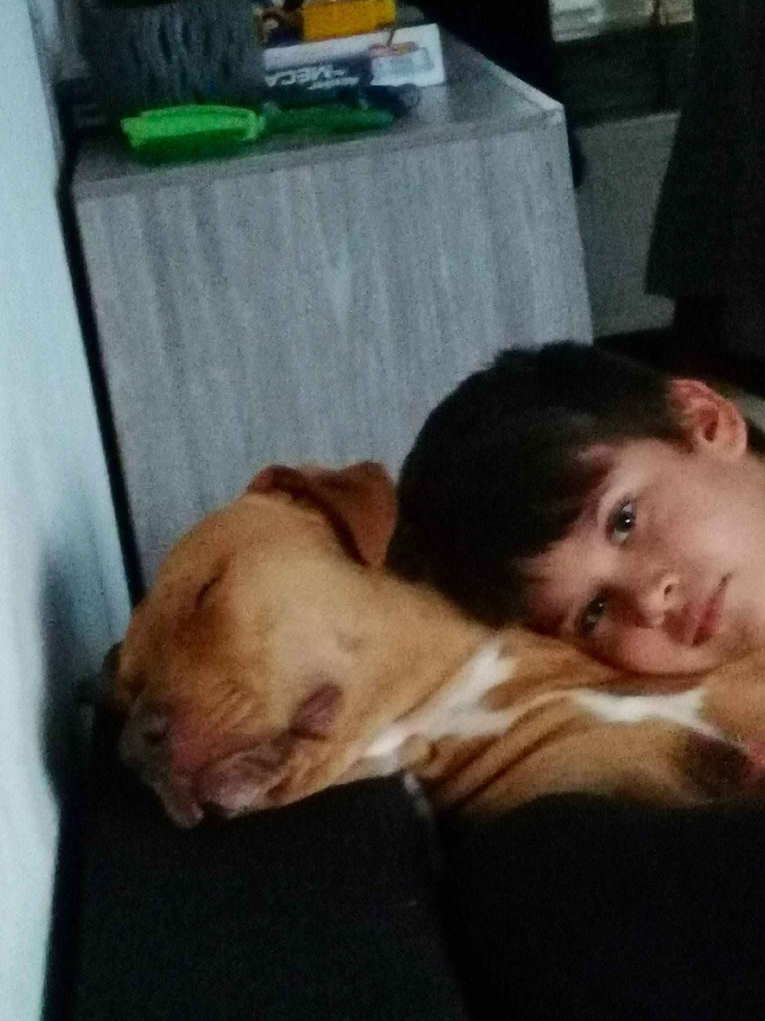 Aedhan participe au concours pour gagner de l'argent avec cette photo : canidae, carnivore, comfort, companion_dog, dog, dog_breed, ear, fawn, fur, happy, head, nose, person, puppy_love, selfie, smile, snout, sporting_group, table, whiskers