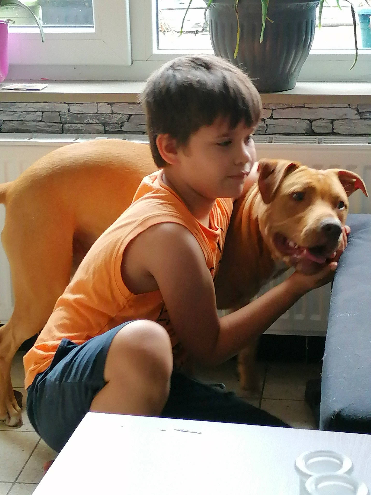 Aedhan participe au concours pour gagner de l'argent avec cette photo : canidae, carnivore, chest, child, companion_dog, dog, dog_breed, fun, happy, human_leg, leisure, muscle, person, sitting, snout, t_shirt, thigh, toddler, vacation, white